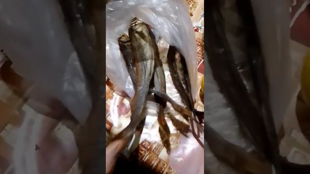 Рождественский сочельник смотреть онлайн