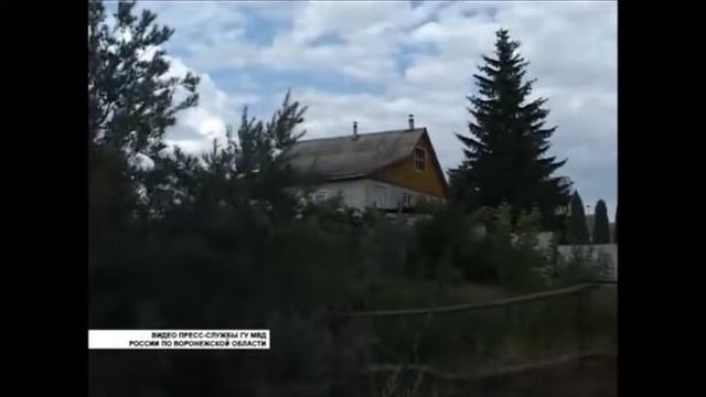 КАК "РАБОТАЮТ" ДАЧНЫЕ ВОРЫ смотреть онлайн