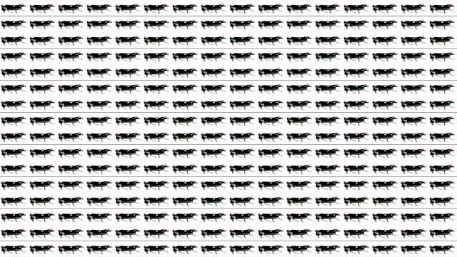 Мем корова танцует под польскую музыку но коров становится больше смотреть онлайн