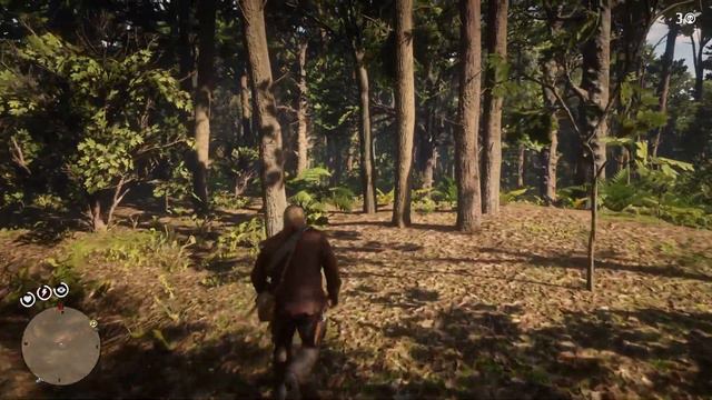 Red Dead Redemption 2 Florida panther perfect kill with poison arrow смотреть онлайн