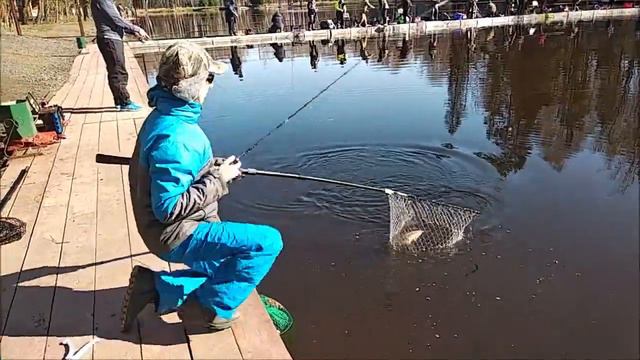 Форель ловится по всей акватории спорт-зоны. Клёвое место, Лосиный остров. смотреть онлайн