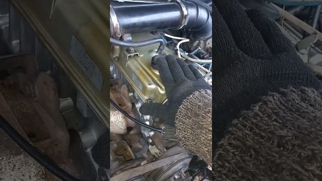 ховер н2 13 лет ожил смотреть онлайн