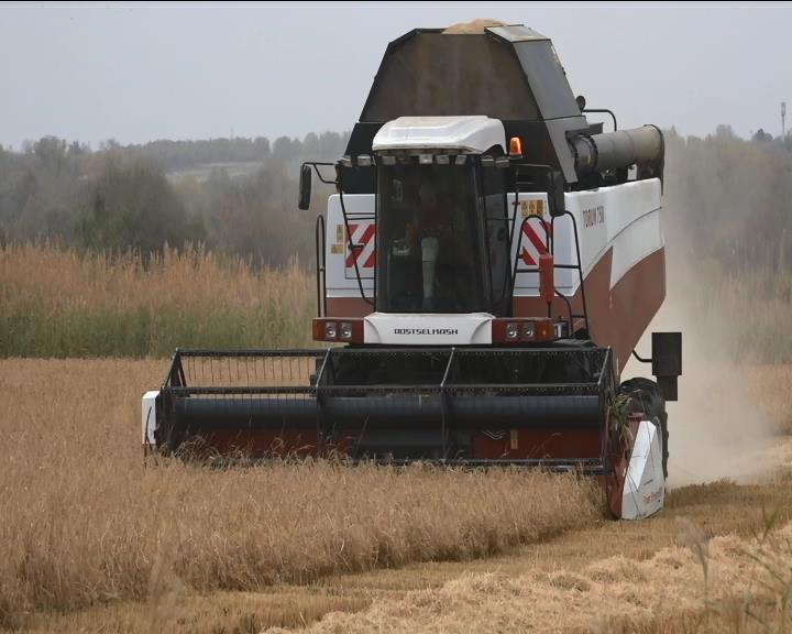 Уборка риса в КФХ М.Абрегова идет полным ходом смотреть онлайн