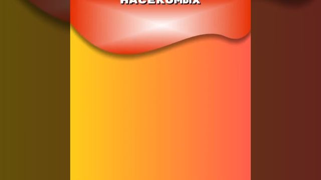 Боретесь с тараканами дихлофосом?! Есть способ лучше! Супер средство 5-7 лет без насекомых!