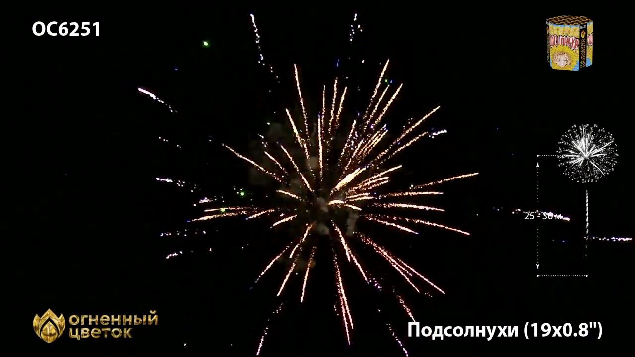 OC6251 смотреть онлайн