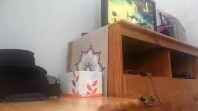 Powerdrome PS2 Walkthrough Part 3 смотреть онлайн