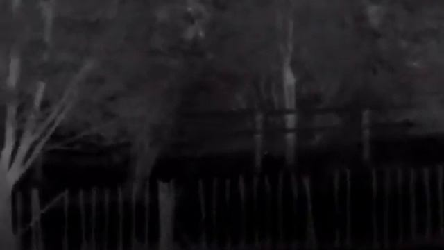 Pulsar Accolade 2 XP50 LRF PRO Thermal binoculars (First test) смотреть онлайн