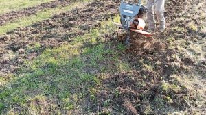 Вспашка целины мотоблоком. Мотоблок Daewoo DATM 6.2 PRO