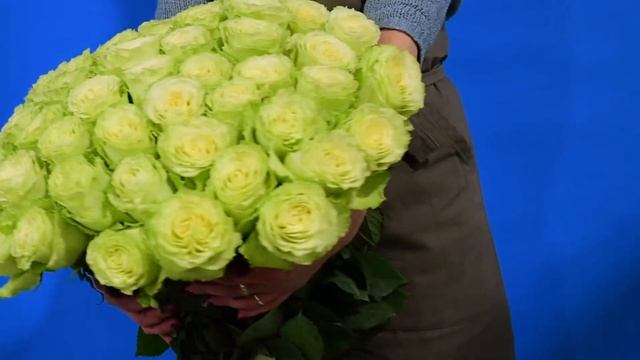 Букет из 49 зеленых роз смотреть онлайн