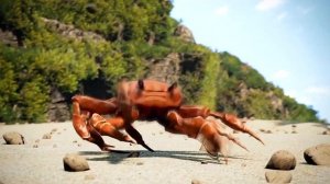 Preview 2 Crab Rave Extended