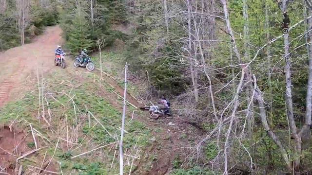Медведи рвут КайоТов в Лесной глуши!! смотреть онлайн