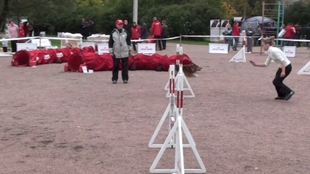 Кубок СПб по аджилити, 15.09.12г, Планета друзей v29 смотреть онлайн
