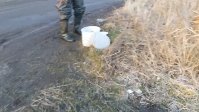 Рыбалка. Уклея. 30.03.2018 г. смотреть онлайн