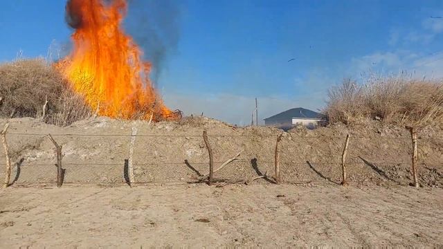 Өрт-тілсіз жау. Қорам өртене жаздады. смотреть онлайн