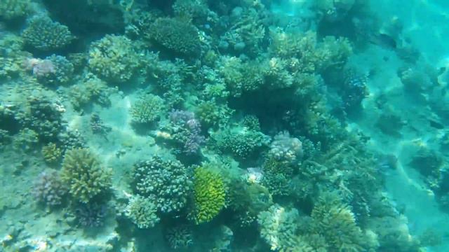 Cool sea смотреть онлайн