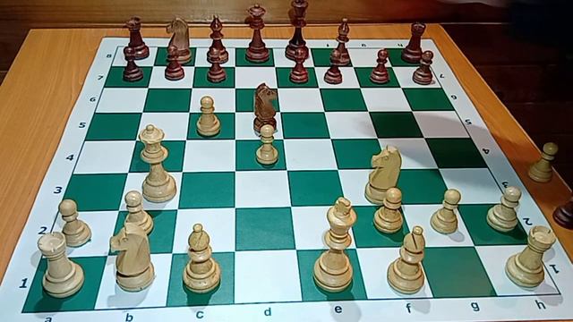 104 [В01] Скандинавская защита 1-0 Психологическая ошибка + незнание дебюта = 0. смотреть онлайн