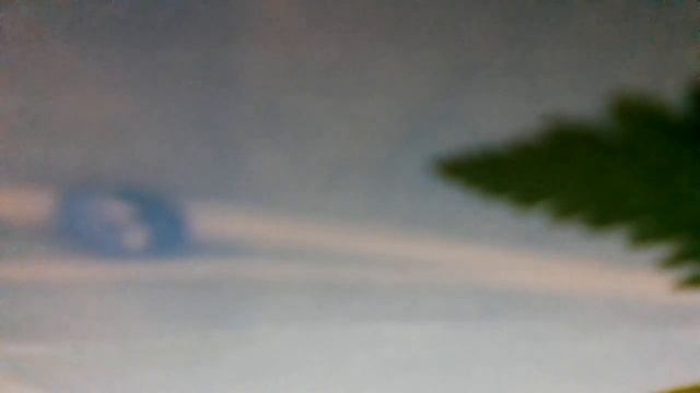 Снеженика(Что такое снеженика? Я ответить вам могу.Это ягода такая, это ягода такая(наброски) смотреть онлайн