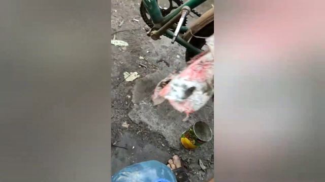 Уборка с чистой совестью