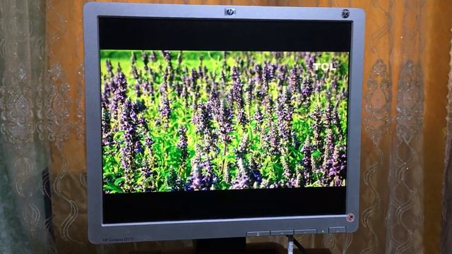 17 HP მონიტორი 60 ლარი!!! смотреть онлайн