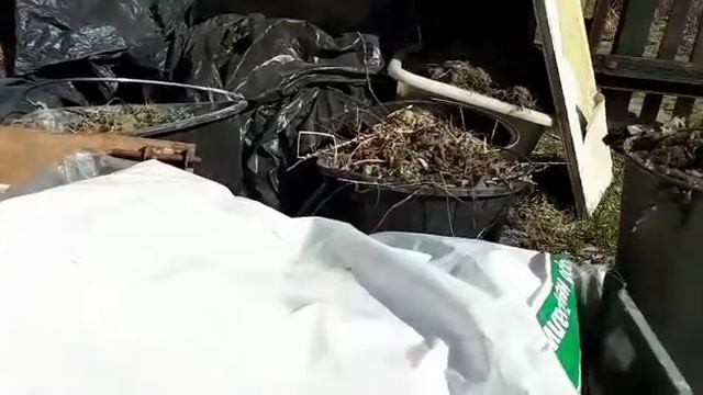 Где живут мои дождевые черви. Заселение от и до смотреть онлайн