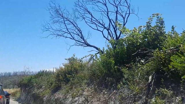 Катались по острову Эвия, Греция! смотреть онлайн