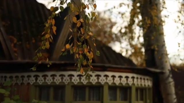 Новелла Матвеева смотреть онлайн