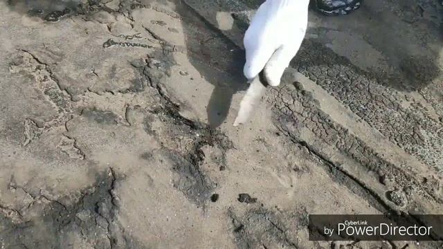 Кроем крышу гаража своими руками смотреть онлайн