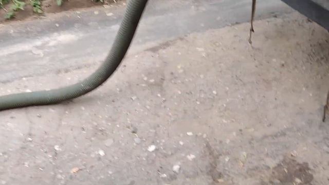 Откачка ассенизатором сливной выгребной ямы смотреть онлайн