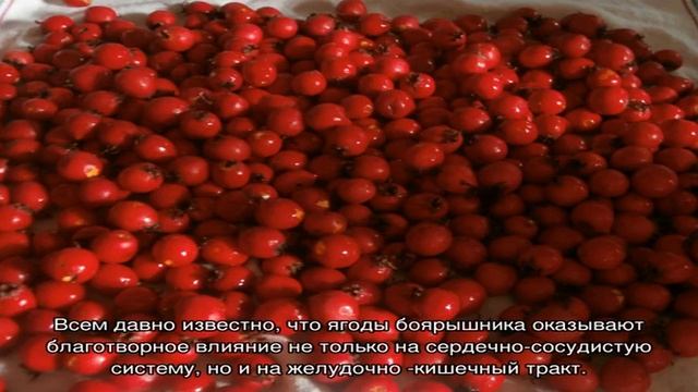 Иллюстрации и Комиксы