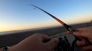 Рыбалка в Спб.Дамба.Открытие сезона по Судаку