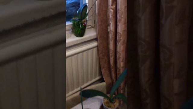 Моя небольшая коллекция... смотреть онлайн