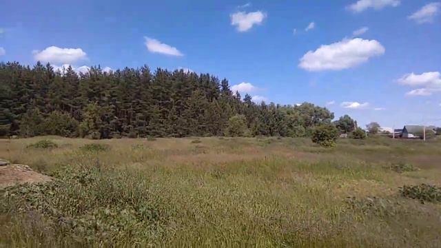 Гнилуша лес смотреть онлайн