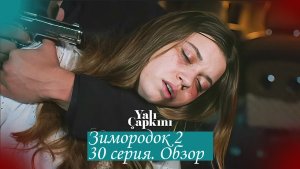 Зимородок 2. Серия 30. Обзор