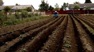 Самодельный минитрактор из мотоблока МТЗ-12