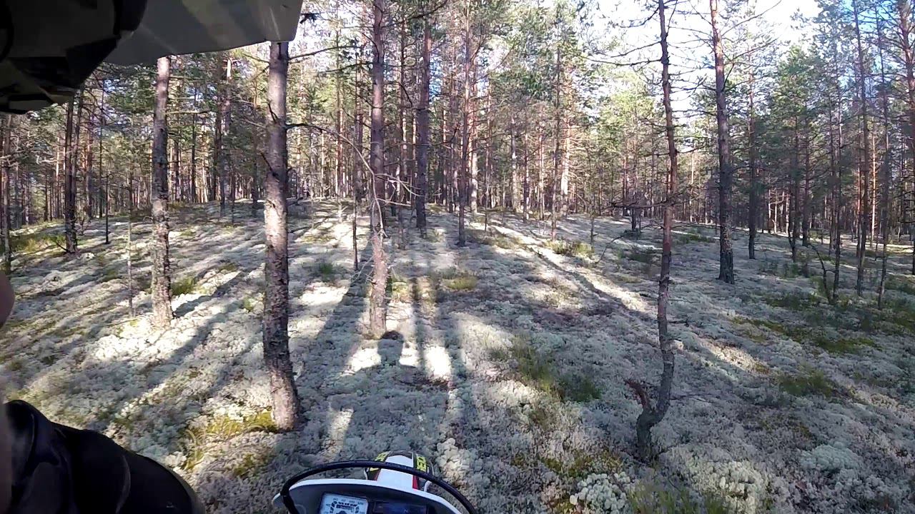 Без названия смотреть онлайн