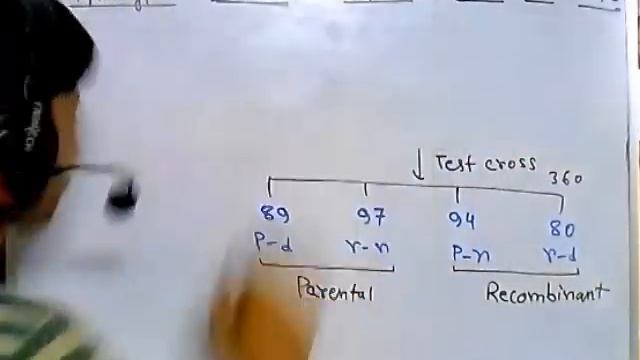 Chi square test смотреть онлайн