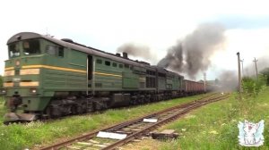 Учим поезда для детей. Викторина угадай поезд