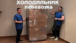 Перевозка холодильника. Вертикально, с упаковкой, разборкой и сборкой