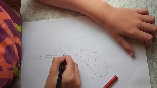 Как правильно нарисовать розу!!! смотреть онлайн