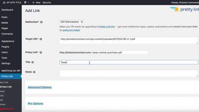 Tracking WordPress 301 redirects with Pretty Links смотреть онлайн