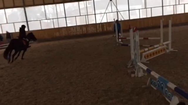 Мой конный спорт конкур 40-60 см