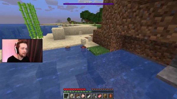 Minecraft (Crowd Control Mod) | 2021-01-28