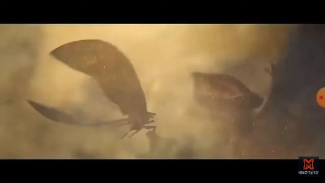 godzilla believer смотреть онлайн