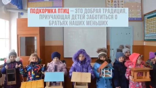 Школьные лесничества установили кормушки для птиц в лесу смотреть онлайн