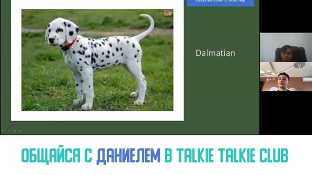 Разговорный английский для детей - 60 секунд - Прятки на английском - Учим разговорный английский смотреть онлайн