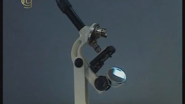 Общая биология. Устройство светового микроскопа смотреть онлайн