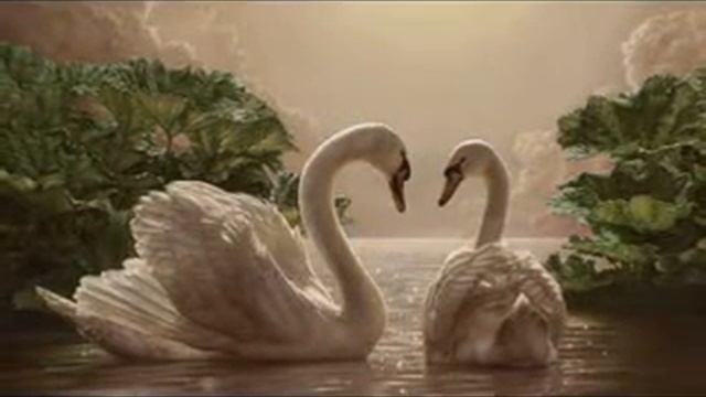 Татьяна Балета "Белая лебедь" смотреть онлайн