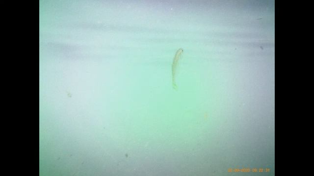 ПЛЯЖ КУРОРТНЫЕ РОМАНЫ ПОДВОДНАЯ СЪЁМКА