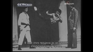 Брюс Ли: Джит Кун До. Китайские боевые искусства