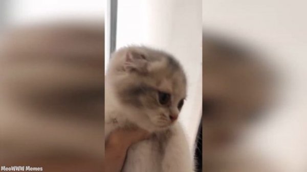 You my friend now - Where is the meme